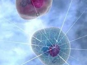 职称：国内三代试管婴儿机构联系方式