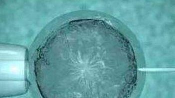 邢台试管婴儿成功率高，附邢台试管婴儿服务特点