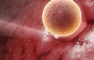 连续卵泡监测三次大小基本没长是怎么回事？卵泡发育不良有哪些表现？卵泡发育不良的女性该怎么备孕？